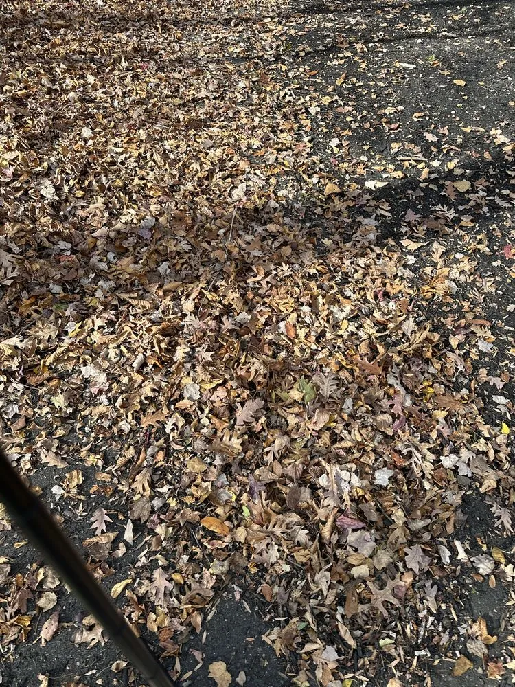 Trusted yard cleanup service for homes across Chesterfield Township, NJ - Mrozinski Landscaping and Lawn Maintenance