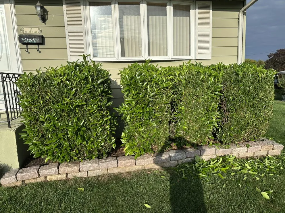 Top-rated landscaping services experts serving Chesterfield Township, NJ - Mrozinski Landscaping and Lawn Maintenance
