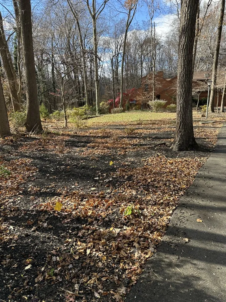 Expert lawn care service experts serving Chesterfield Township, NJ - Mrozinski Landscaping and Lawn Maintenance