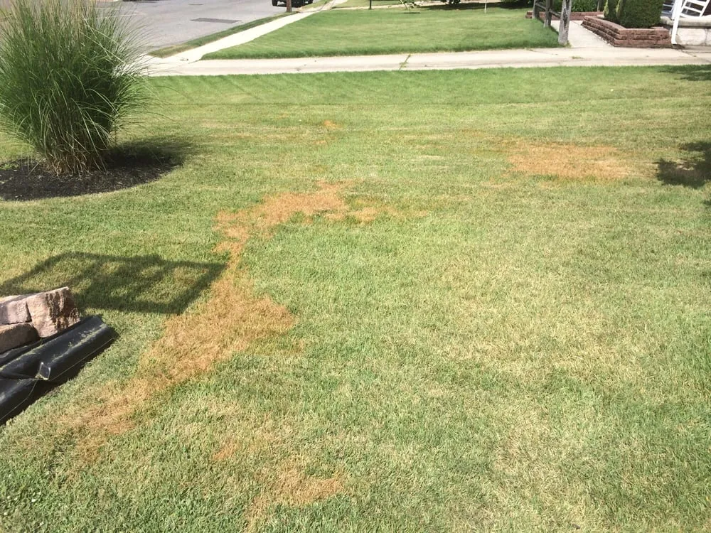 Professional residential landscaping with custom design in Wenonah, NJ by MRP Concrete & Masonry