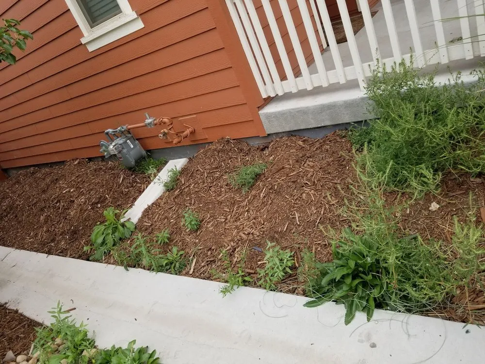 Reliable residential landscaping in Denver, CO by Mr.Plow