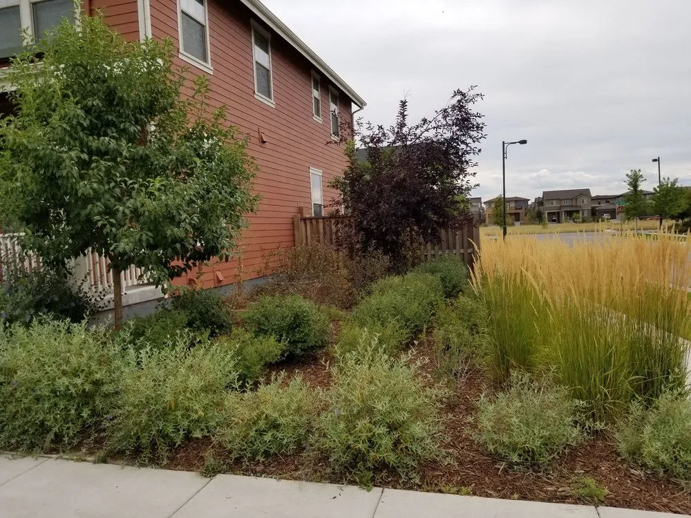 Local landscape installation for beautiful yards across Denver, CO - Mr.Plow