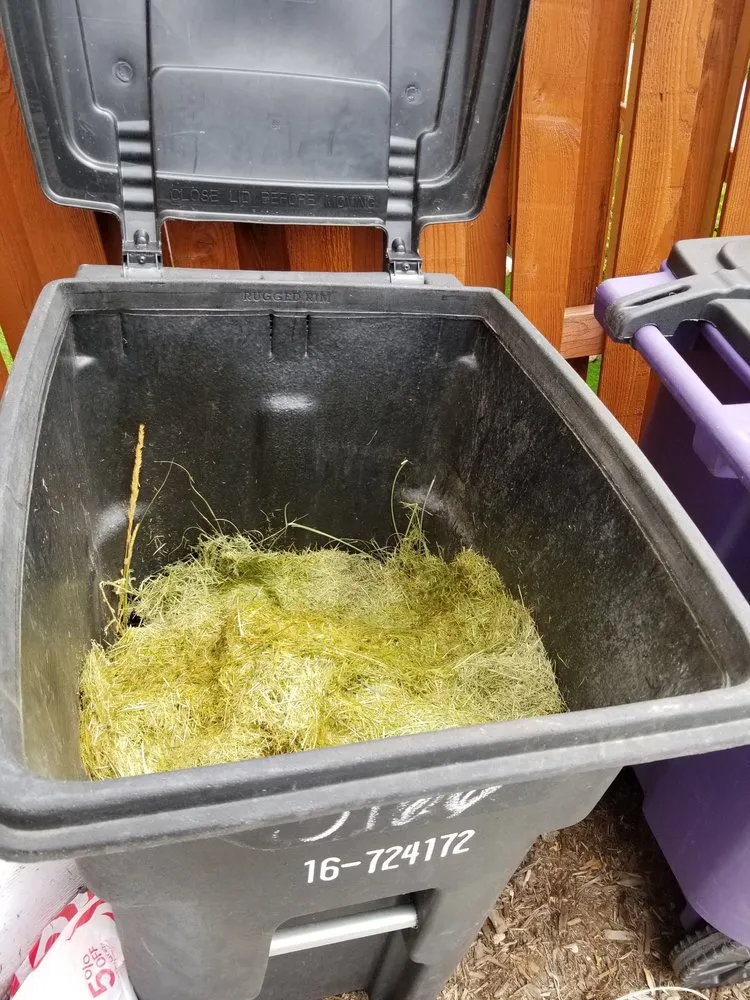 Professional landscape installation experts serving Denver, CO - Mr.Plow