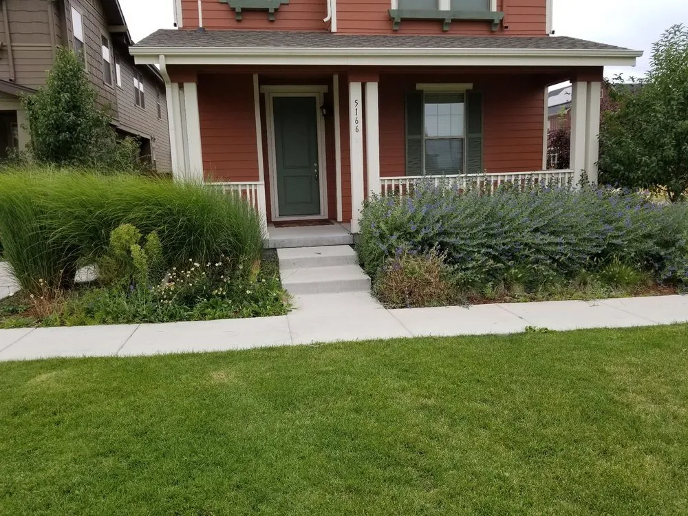 Custom landscape installation in Denver, CO - Mr.Plow