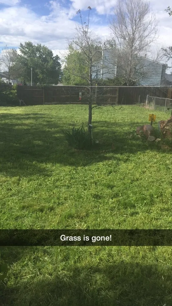 Trusted landscape design for residential properties across Denver, CO - Mr.Plow