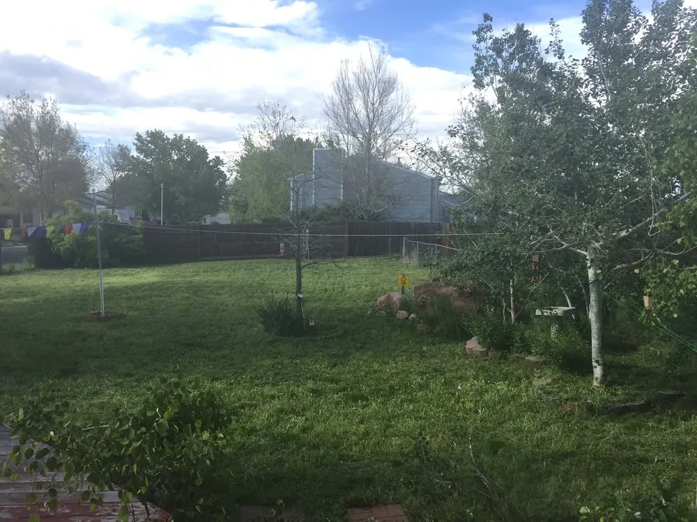 Expert landscape design for year-round maintenance across Denver, CO - Mr.Plow