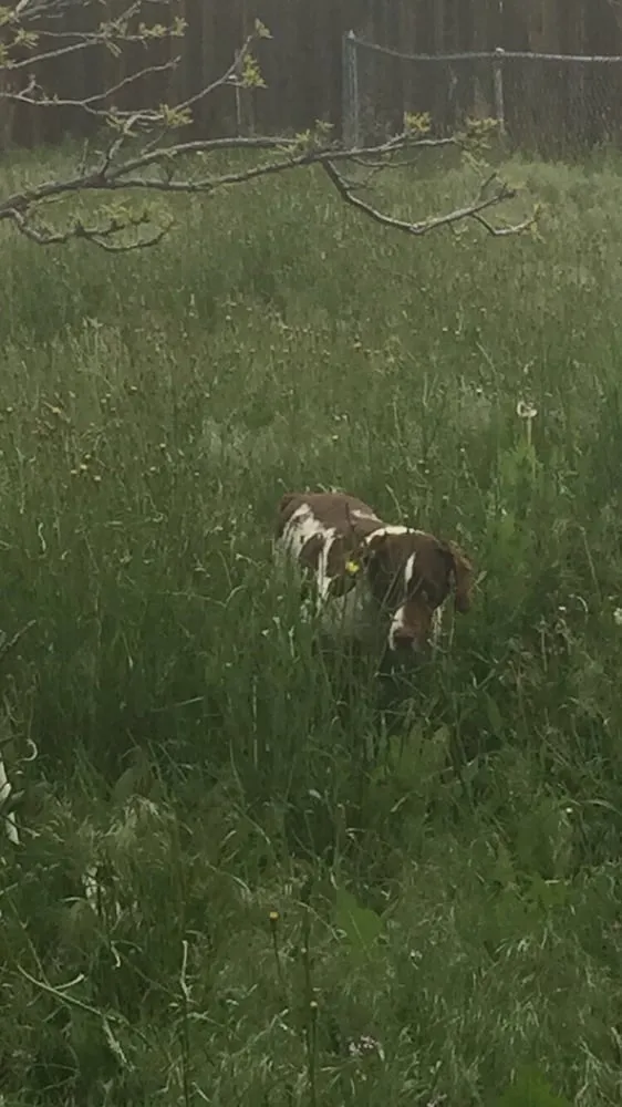 Local outdoor landscaping for residential properties in Denver, CO by Mr.Plow