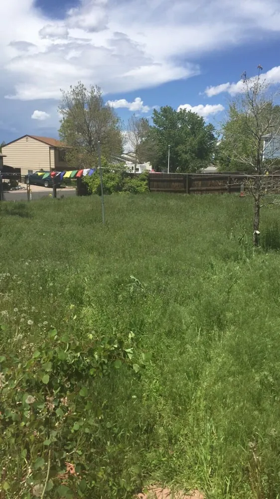 Top-rated lawn care service experts serving Denver, CO - Mr.Plow