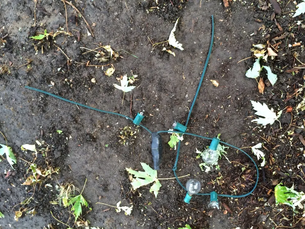 Reliable landscape design experts serving Denver, CO - Mr.Plow