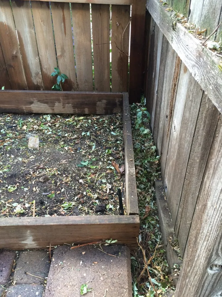 Affordable lawn care service experts serving Denver, CO - Mr.Plow