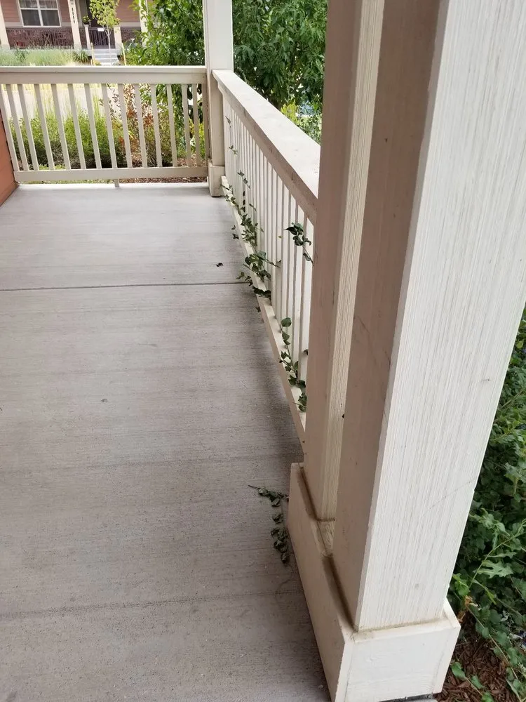 Professional landscape installation experts serving Denver, CO - Mr.Plow