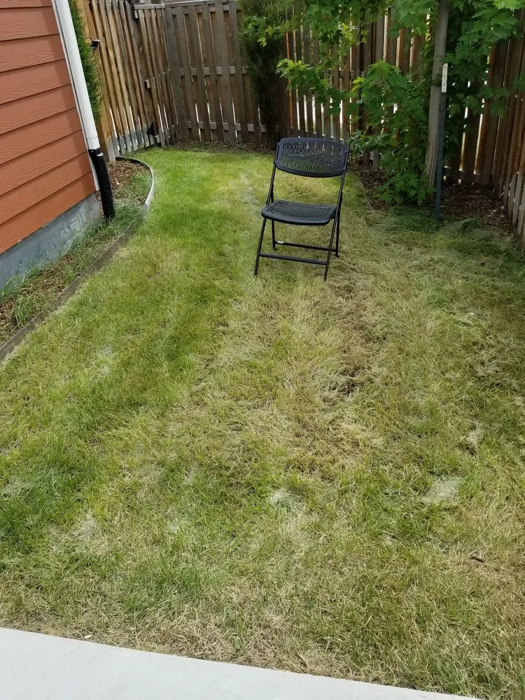 Custom yard cleanup service in Denver, CO - Mr.Plow