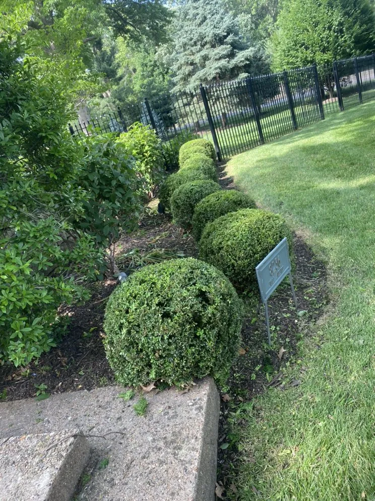 Top-rated yard maintenance for homes across Grandview, MO - Márquez land care