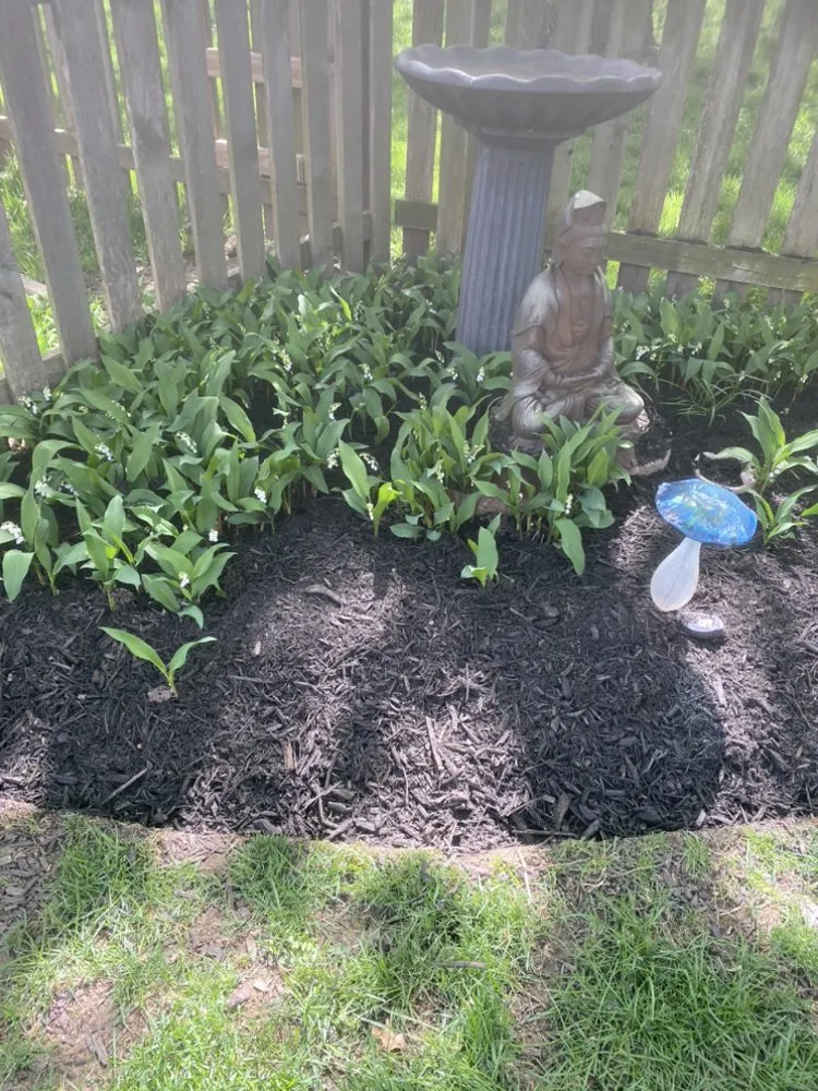 Reliable landscape design near you across Grandview, MO - Márquez land care