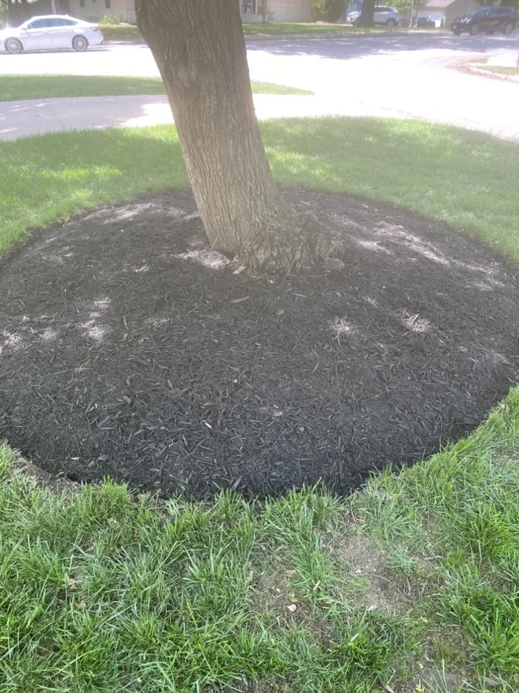 Reliable outdoor landscaping with custom design in Grandview, MO by Márquez land care