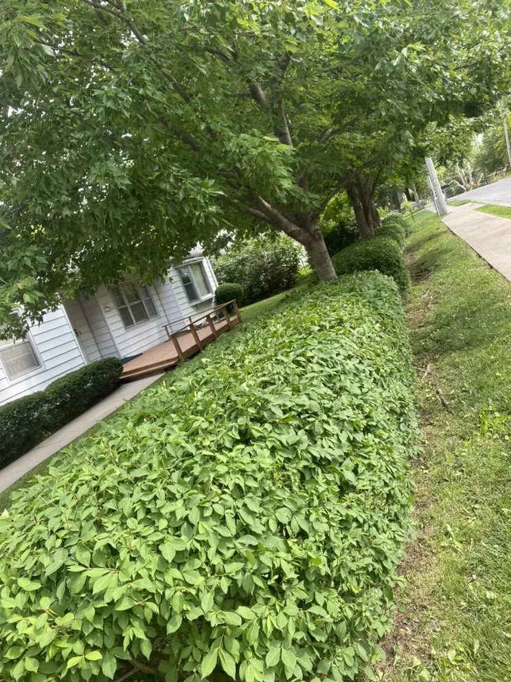 Top-rated outdoor landscaping for outdoor upgrades across Grandview, MO - Márquez land care