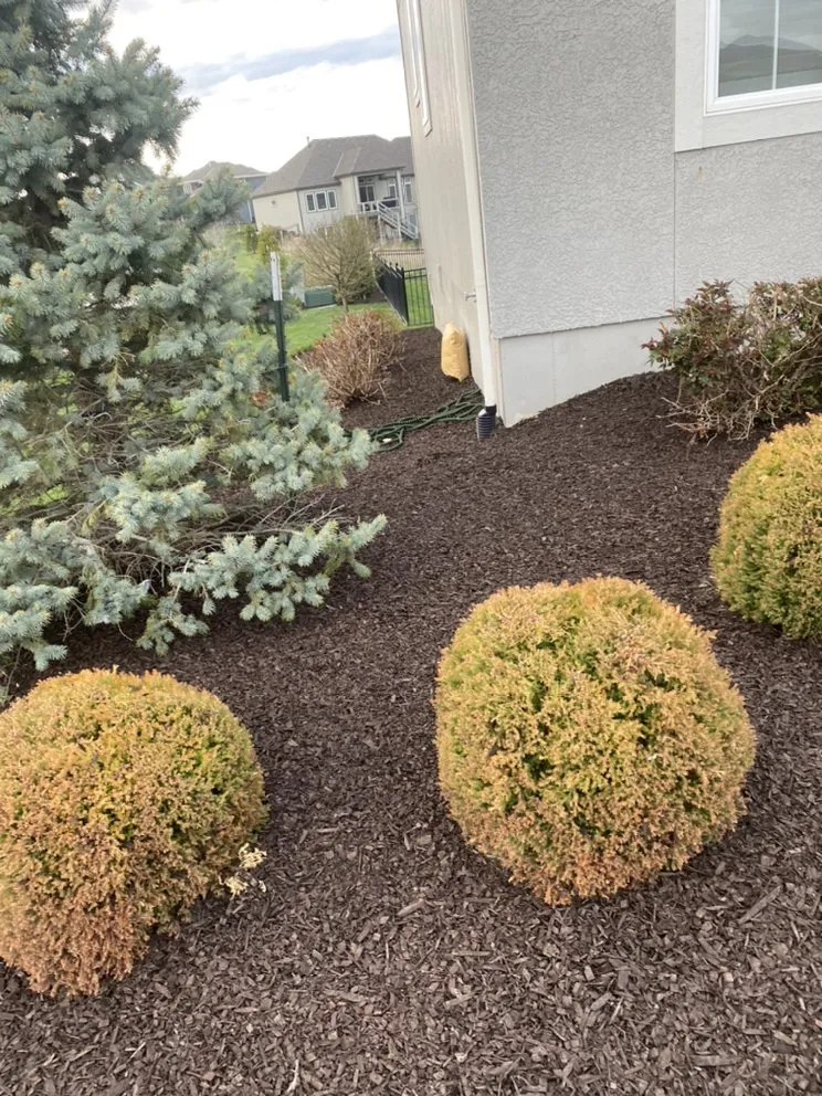 Custom outdoor landscaping in Grandview, MO by Márquez land care