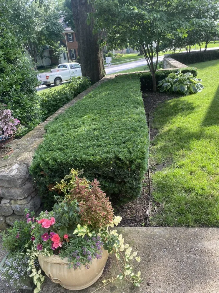 Top-rated residential landscaping in Grandview, MO by Márquez land care