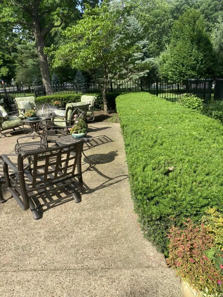 Professional outdoor landscaping in Grandview, MO - Márquez land care