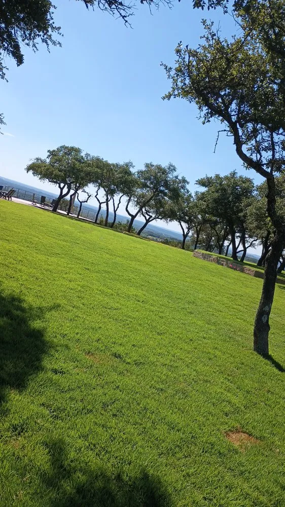 Trusted landscape installation in Georgetown, TX by Márquez Sprinkler System & Landscpaing & More