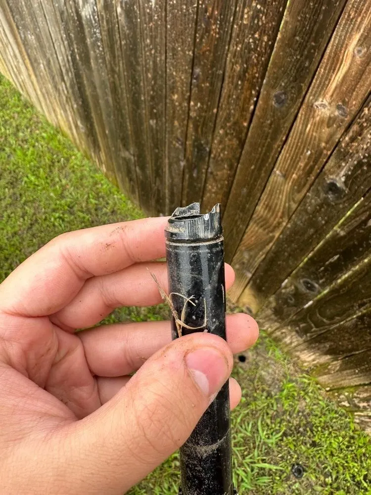 Trusted residential landscaping for beautiful yards in Georgetown, TX by Márquez Sprinkler System & Landscpaing & More