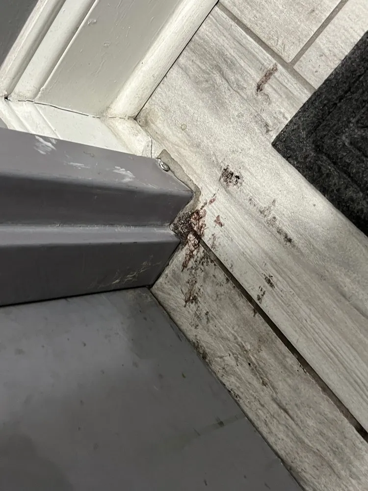 Custom lawn mowing service for residential properties in Laplace, LA by Mrs Clean Maid Service