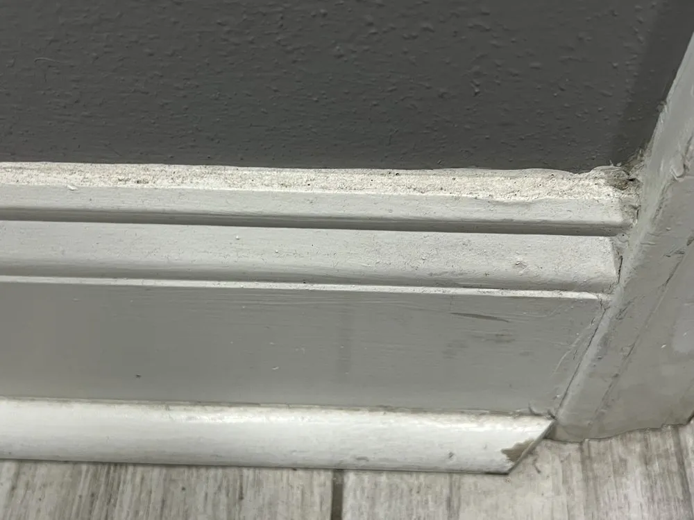 Custom yard maintenance for beautiful yards in Laplace, LA by Mrs Clean Maid Service