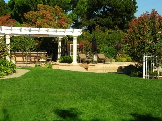 Professional lawn care service with custom design in Campbell, CA by Mrs Greenlawn