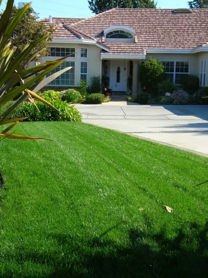 Top-rated yard cleanup service for residential properties in Campbell, CA by Mrs Greenlawn