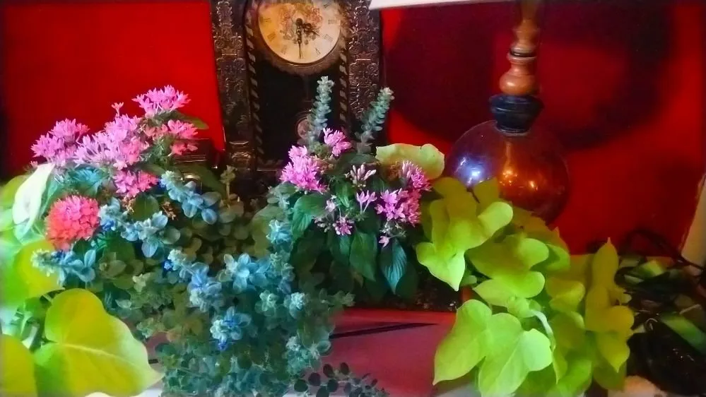 Expert garden landscaping for residential properties in Fort Worth, TX by Mrs Jenkins Gardening