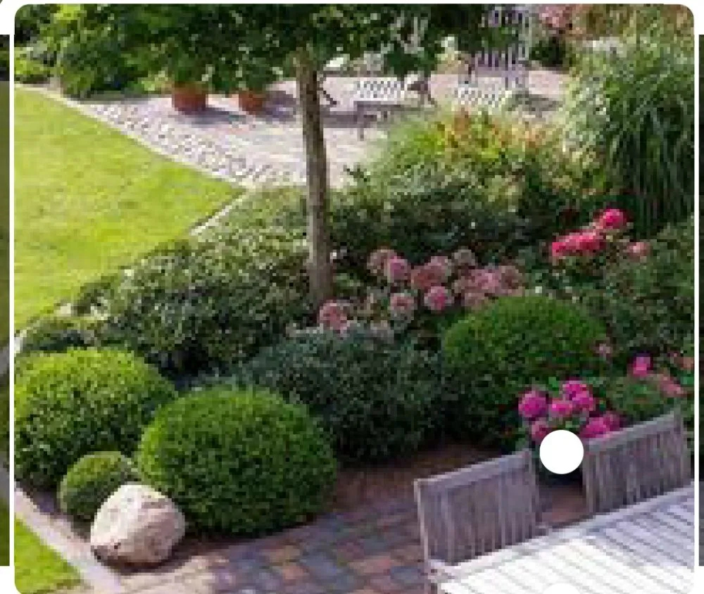 Affordable lawn care service near you in Fort Worth, TX by Mrs Jenkins Gardening