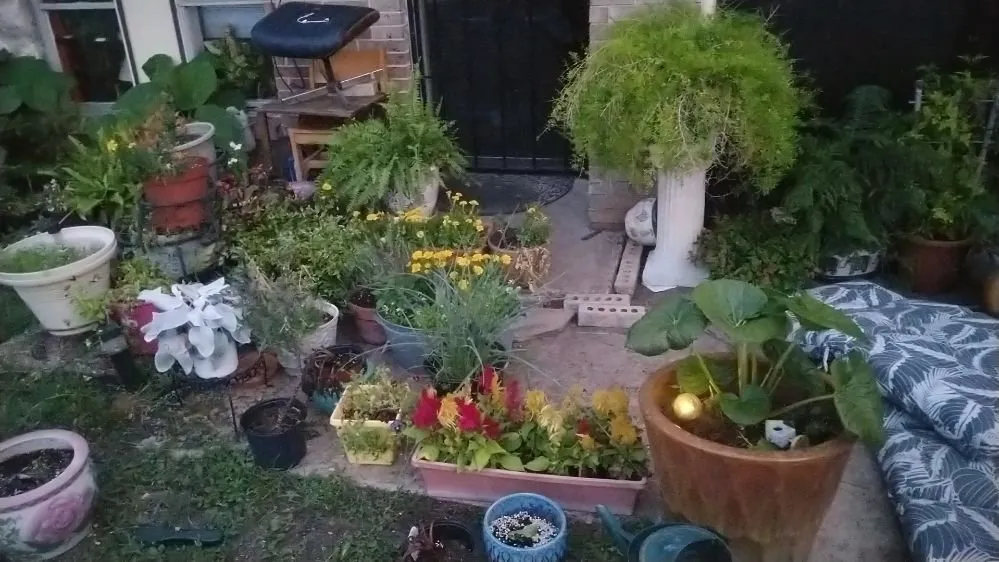 Trusted lawn care service with custom design across Fort Worth, TX - Mrs Jenkins Gardening