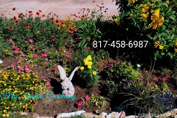 Mrs Jenkins Gardening Logo