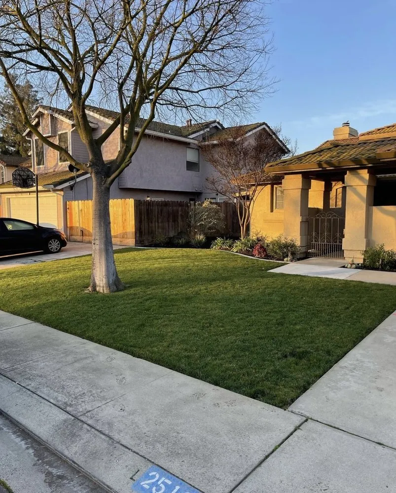 Trusted yard cleanup service for residential properties in Riverbank, CA by M&R’s Landscaping and Tree Service Masters