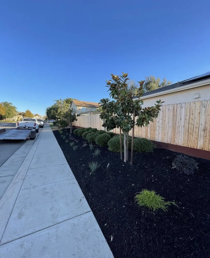 Top-rated landscape design near you across Riverbank, CA - M&R’s Landscaping and Tree Service Masters