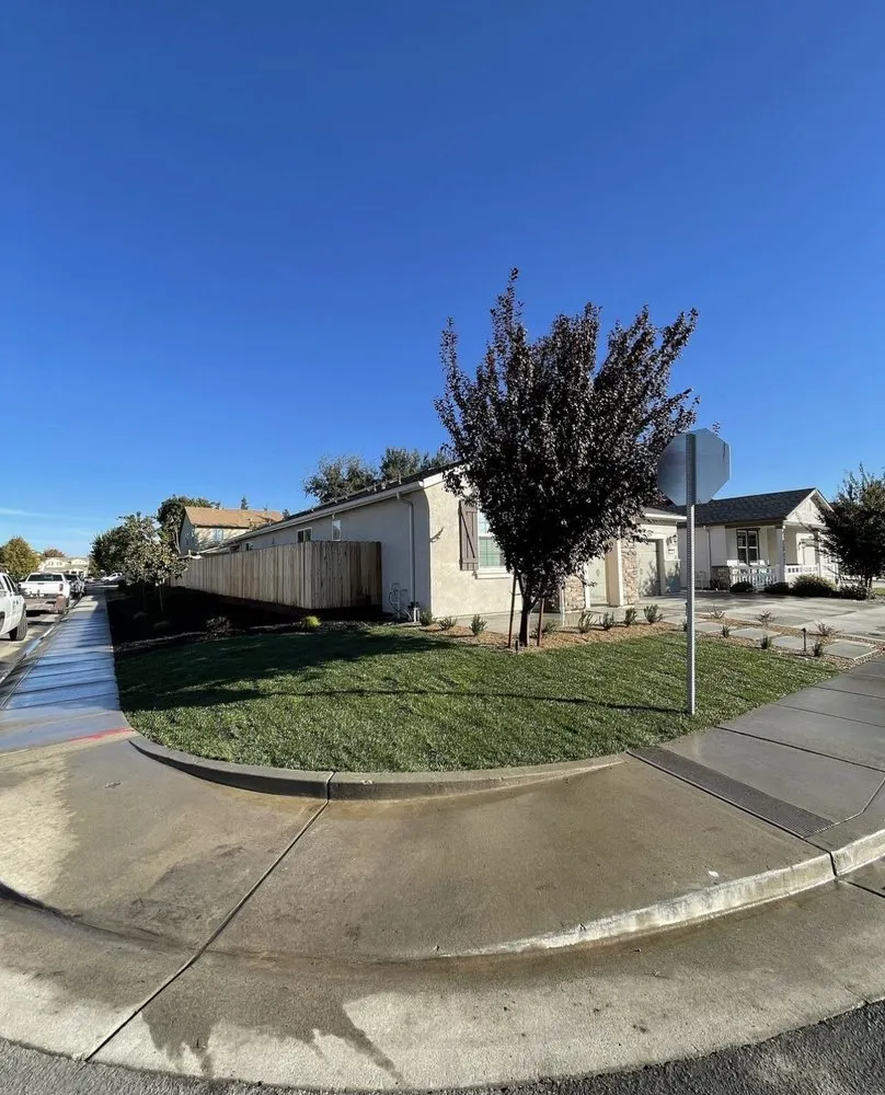 Trusted yard cleanup service in Riverbank, CA by M&R’s Landscaping and Tree Service Masters