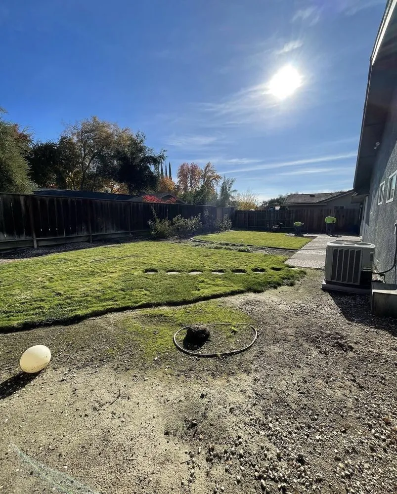 Expert lawn care service in Riverbank, CA - M&R’s Landscaping and Tree Service Masters