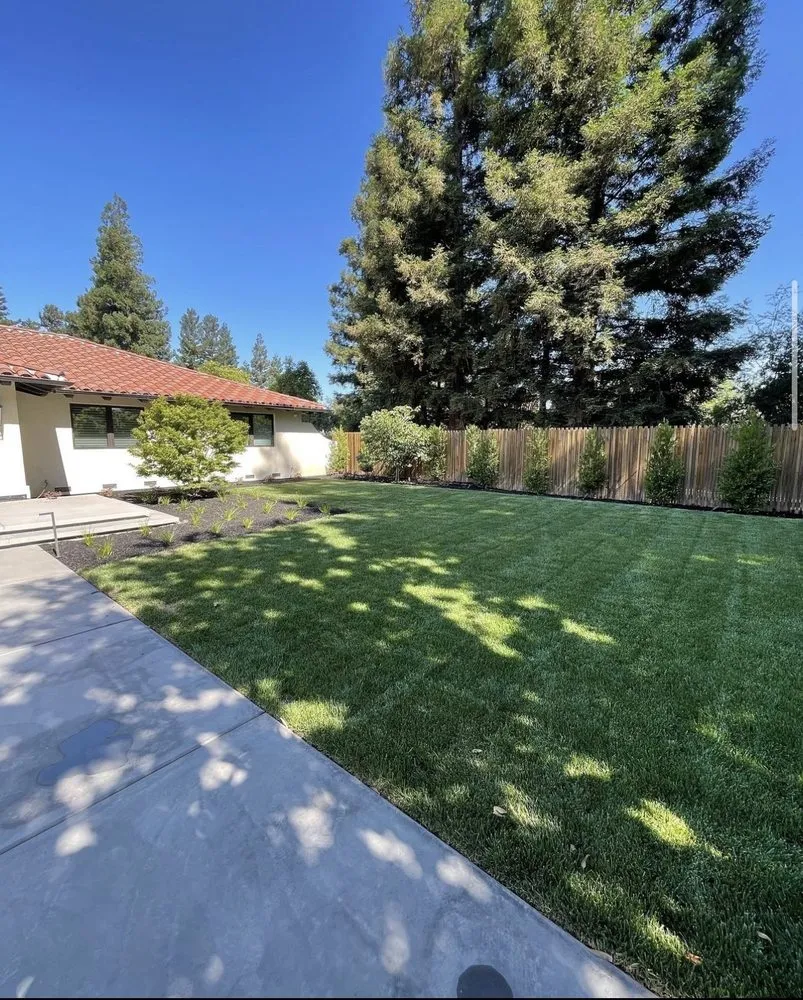 Affordable yard cleanup service in Riverbank, CA by M&R’s Landscaping and Tree Service Masters