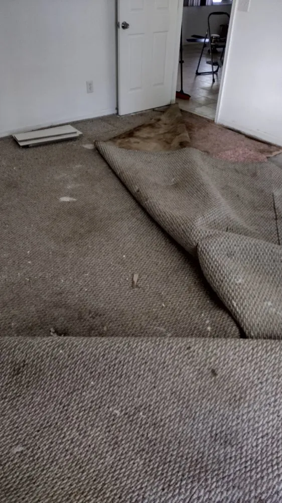 Professional outdoor landscaping for residential properties in Silver Springs, FL by Mrs N Mr Handybamz