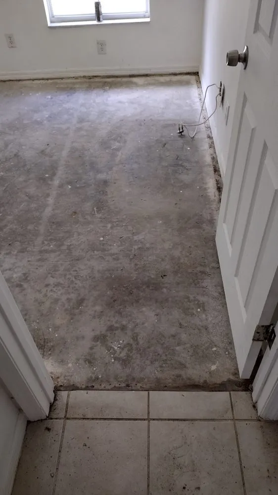 Expert landscape installation for residential properties in Silver Springs, FL by Mrs N Mr Handybamz