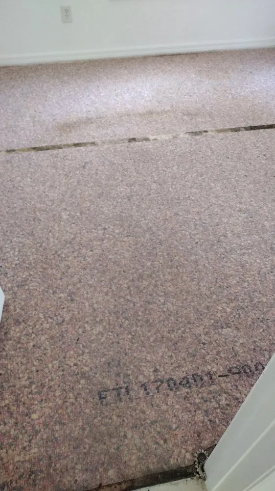 Reliable residential landscaping for homes in Silver Springs, FL by Mrs N Mr Handybamz