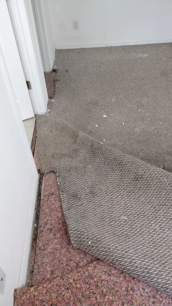 Reliable lawn mowing service in Silver Springs, FL by Mrs N Mr Handybamz