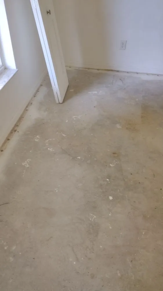 Reliable residential landscaping with custom design in Silver Springs, FL by Mrs N Mr Handybamz