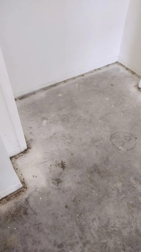 Expert outdoor landscaping in Silver Springs, FL - Mrs N Mr Handybamz