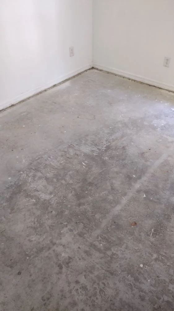 Custom yard cleanup service for residential properties across Silver Springs, FL - Mrs N Mr Handybamz