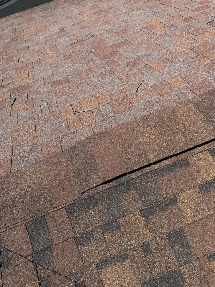 Reliable yard cleanup service in North Huntingdon, PA - Mrs S Cleaning Service