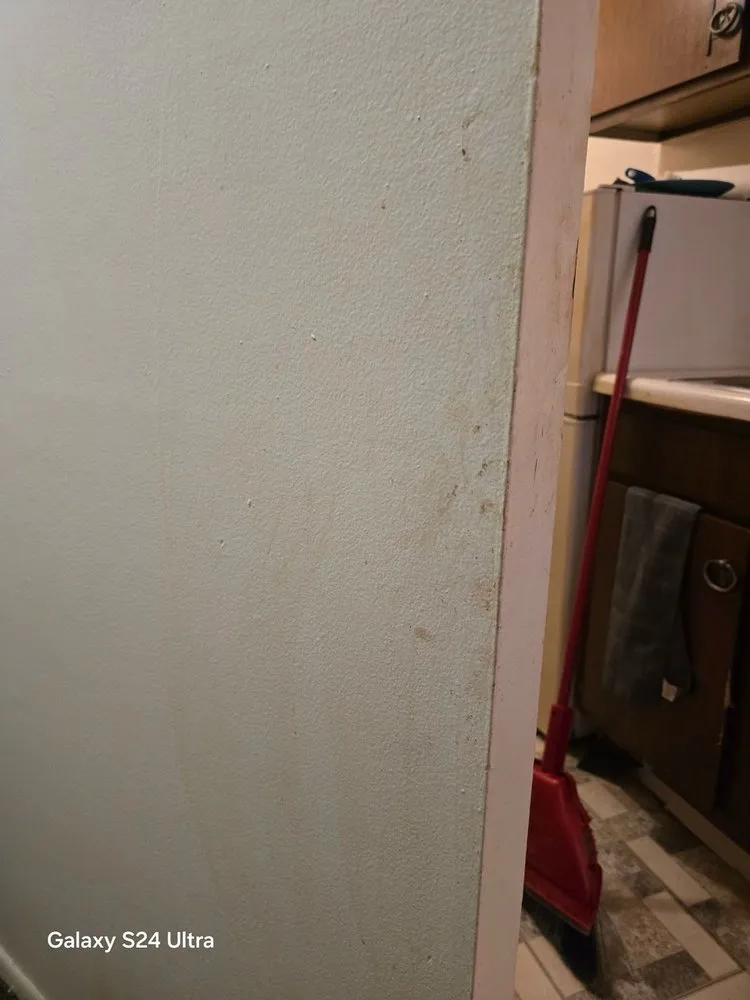 Custom residential landscaping in North Huntingdon, PA - Mrs S Cleaning Service