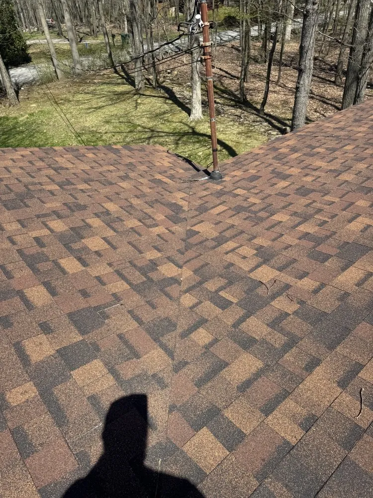 Professional lawn care service in North Huntingdon, PA by Mrs S Cleaning Service