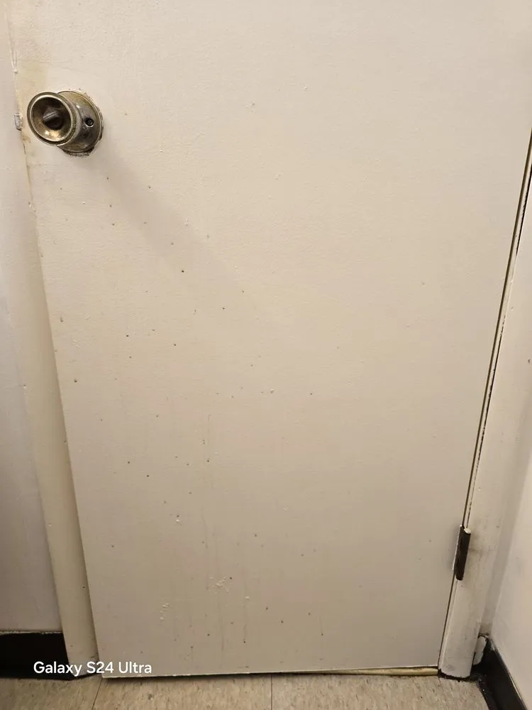 Top-rated garden landscaping in North Huntingdon, PA - Mrs S Cleaning Service