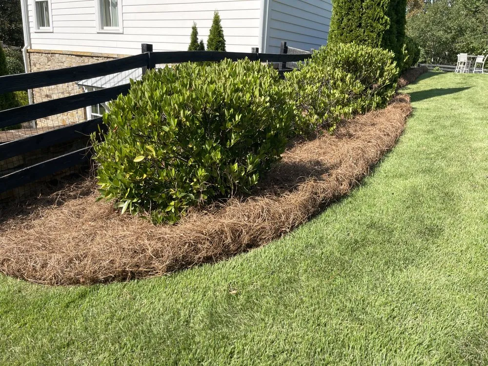 Trusted yard maintenance with custom design across Rome, GA - Mr.'s Sparkle Services